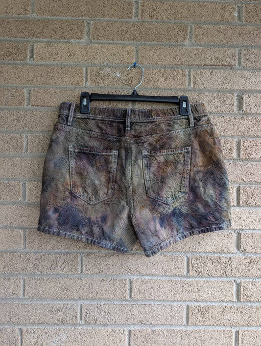 Women's 10 Denim Shorts