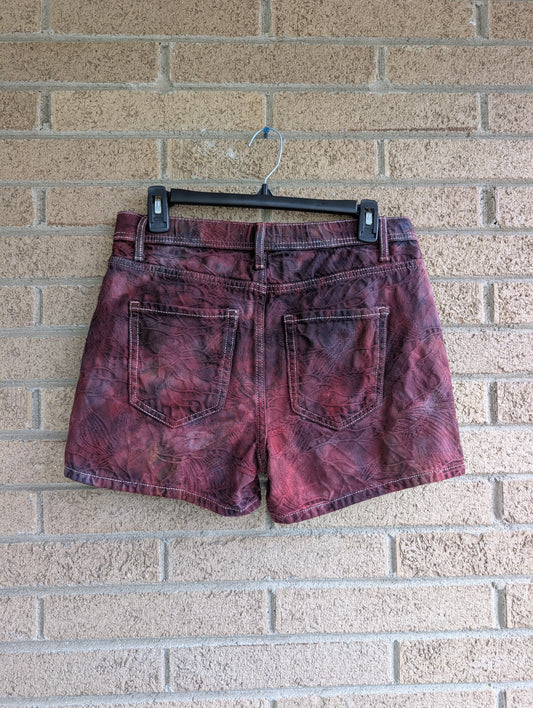 Women's 6 Denim Shorts
