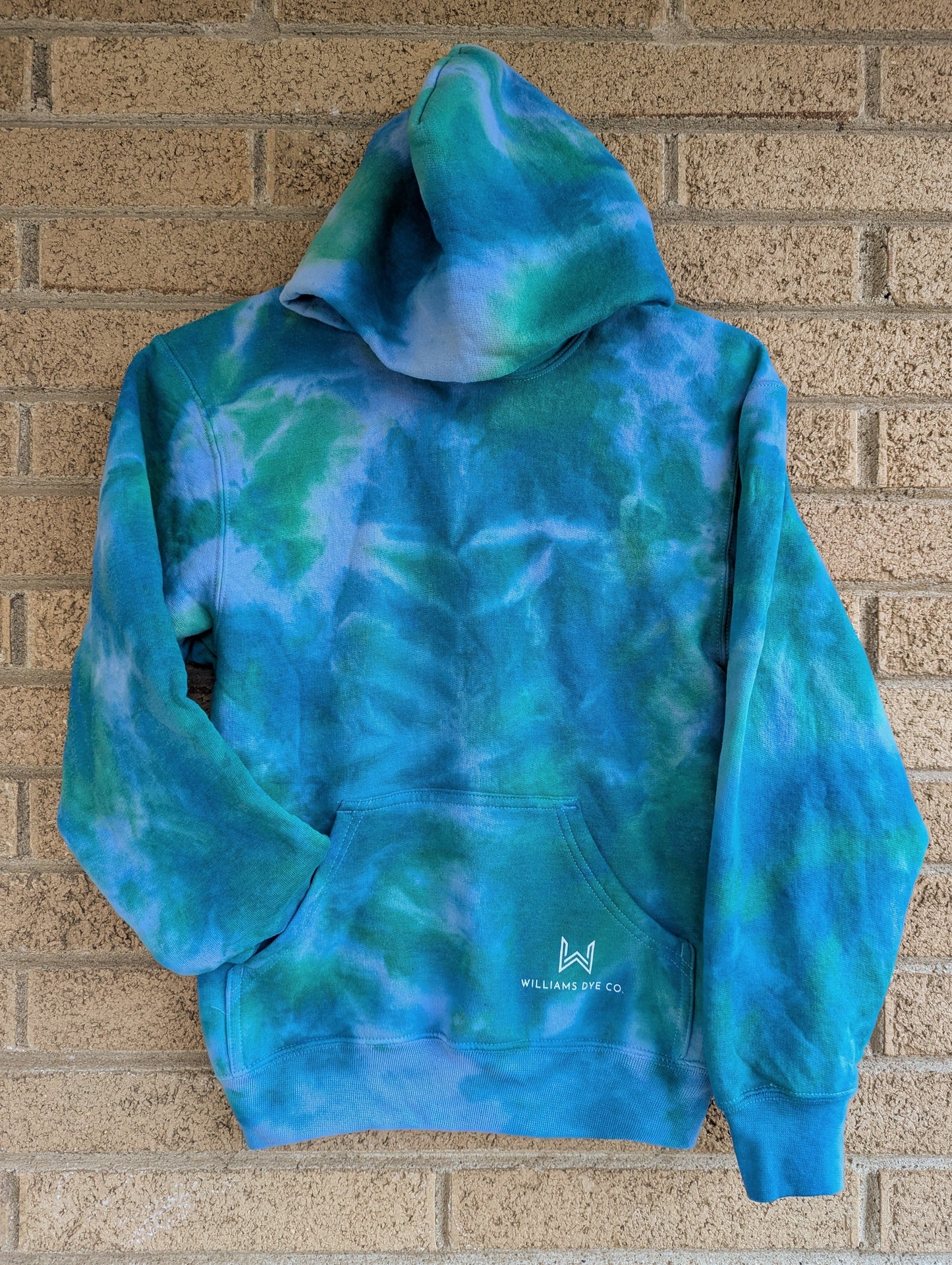 Earth Hooded Sweatshirt - Adult