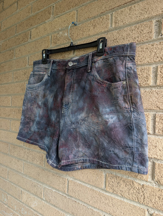 Women's 16 Denim Shorts