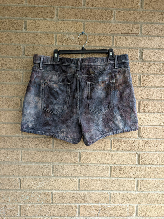 Women's 16 Denim Shorts