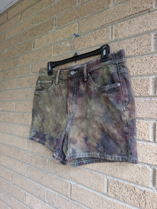 Women's 10 Denim Shorts