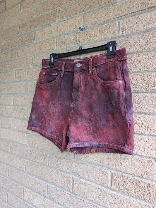 Women's 6 Denim Shorts